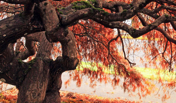 短信轰在线轰炸免费下载
